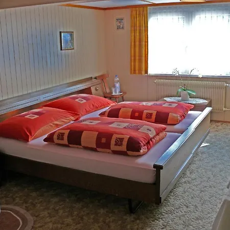 Pensjonat Gasthaus Adler Krummenau